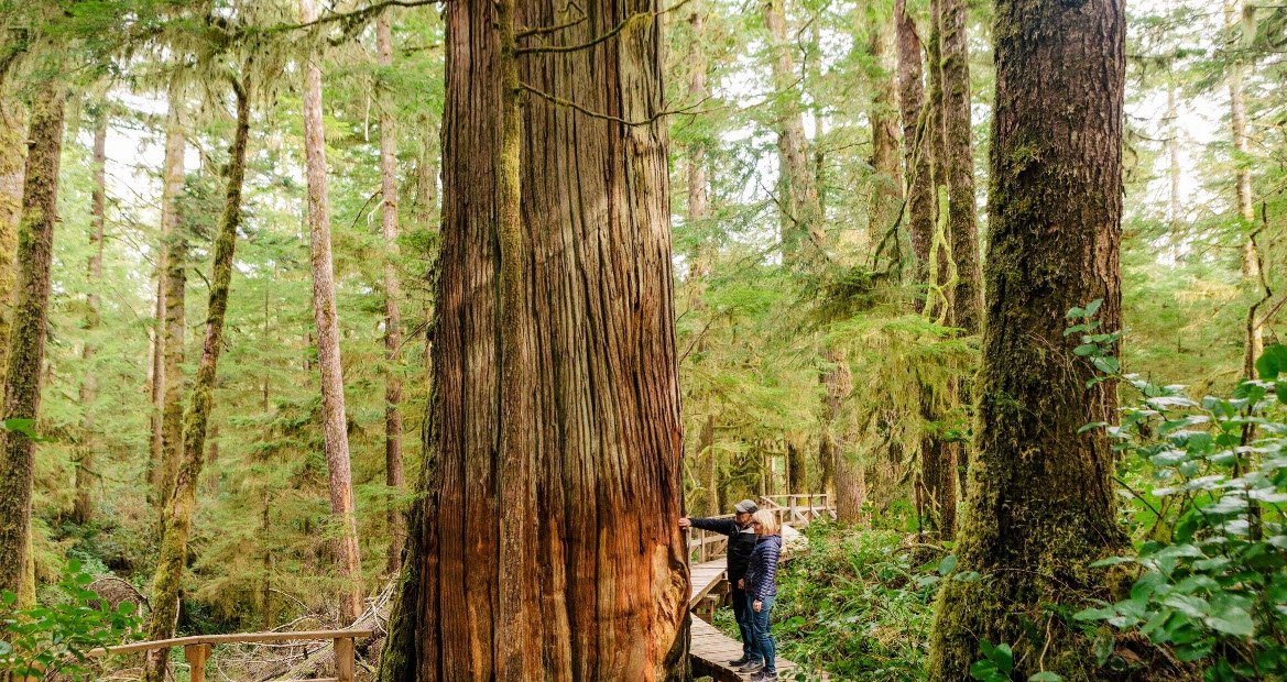 Pacific Rim National Park Reserve, British Columbia, Canada